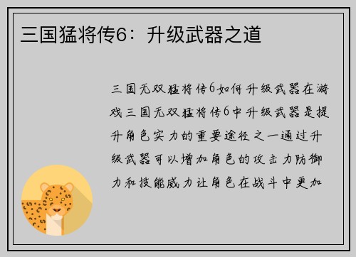 三国猛将传6：升级武器之道